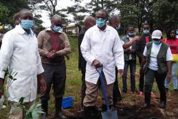 Tree Planting Exercise