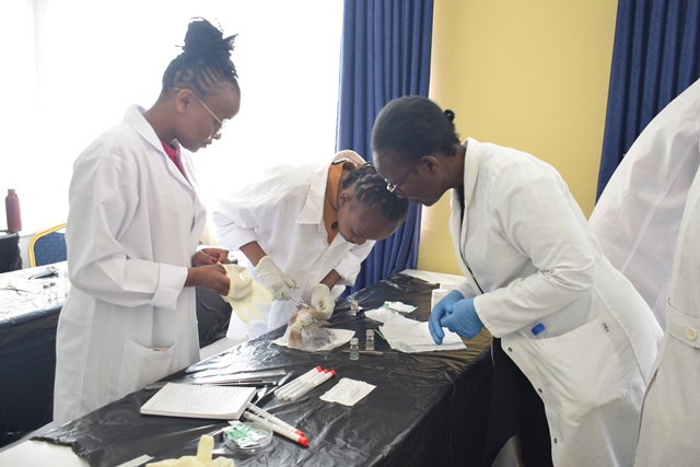 VETERINARIAN WORKSHOP ON AQUATIC ANIMAL HEALTH AND FISH WELFARE.