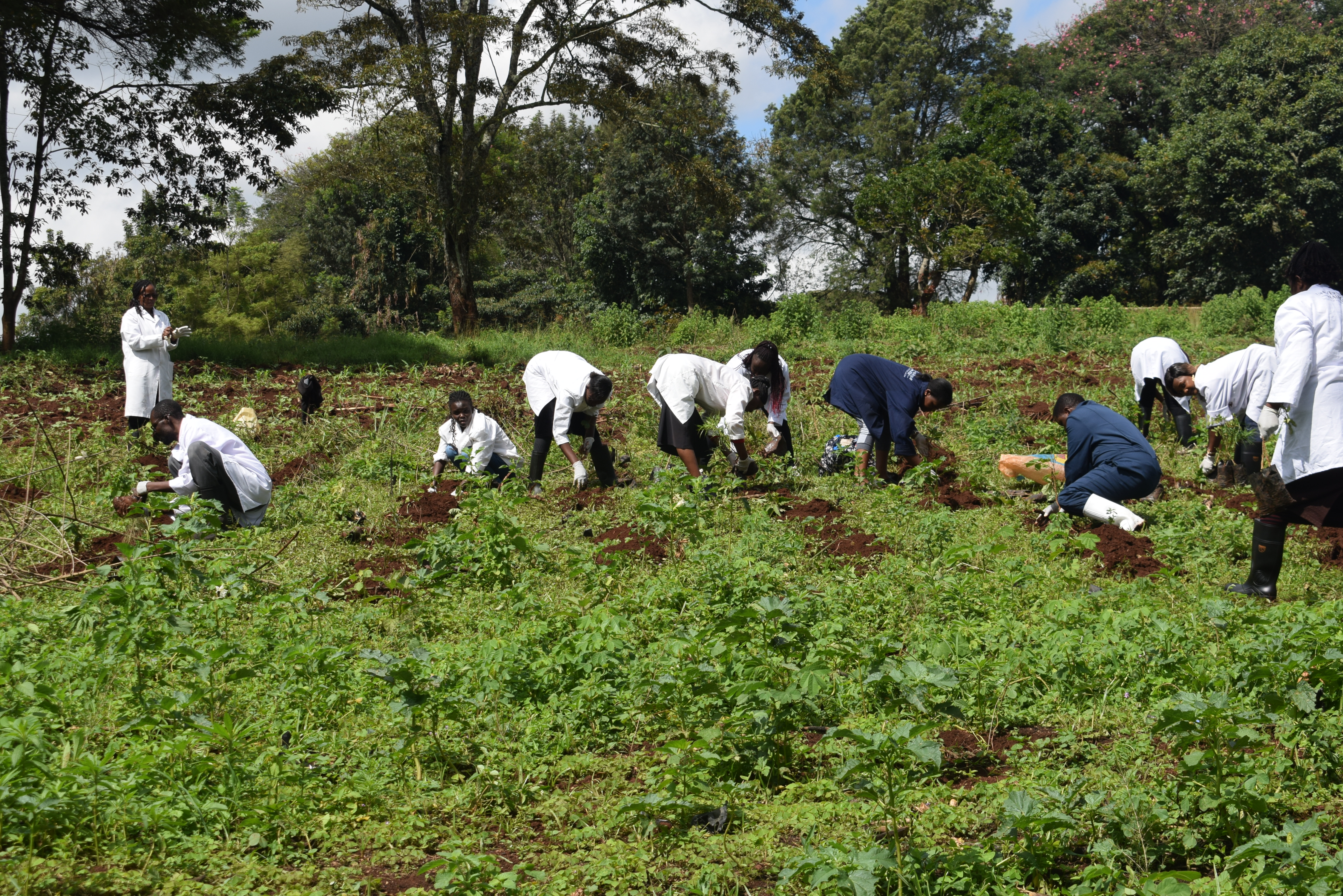 VET PATHOLOGY TREE PLANTING INITIATIVE AT KANYARI VETERINARY FARM 