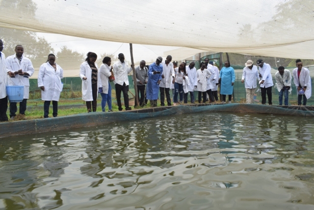 VETERINARIAN WORKSHOP ON AQUATIC ANIMAL HEALTH AND FISH WELFARE.
