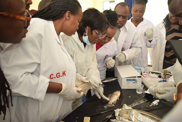 VETERINARIAN WORKSHOP ON AQUATIC ANIMAL HEALTH AND FISH WELFARE.