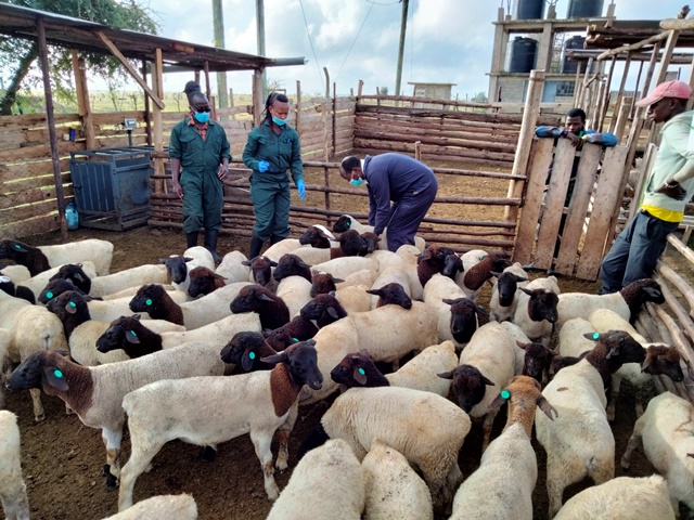 Anthelmintic Stewardship Project