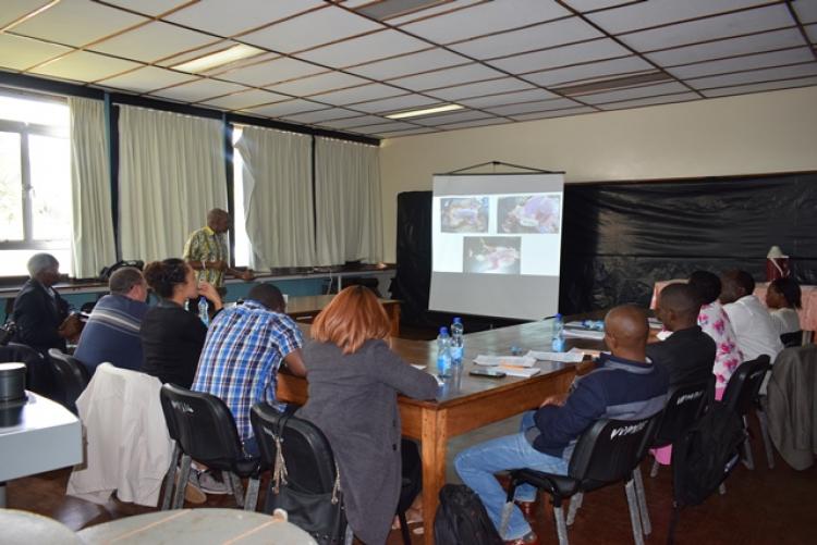 Poultry Training