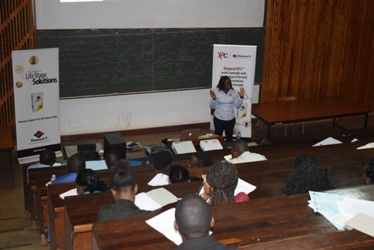 Guest Lecture by Diamond V-IMEA Representatives