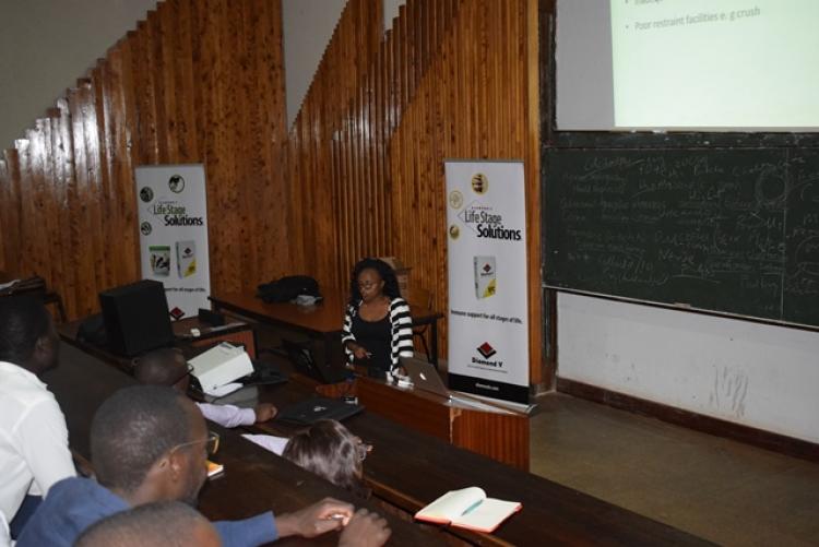 Guest Lecture by Diamond V-IMEA Representatives