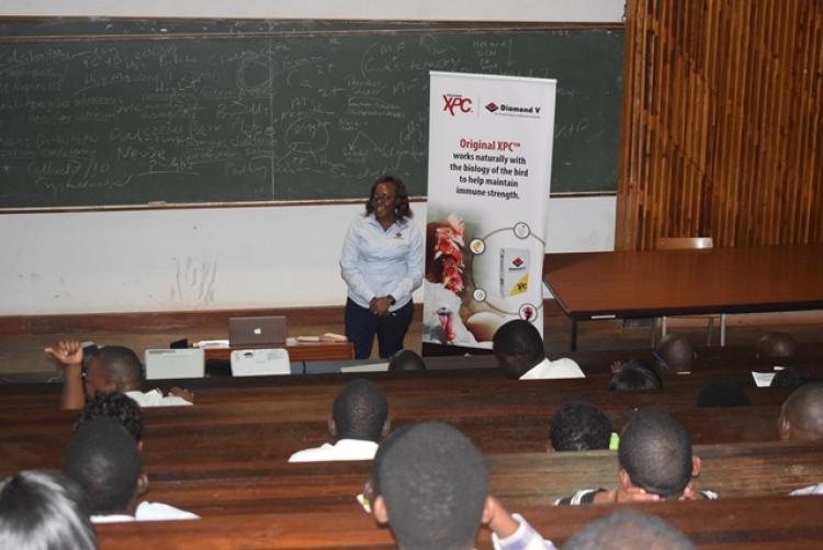 Guest Lecture by Diamond V-IMEA Representatives