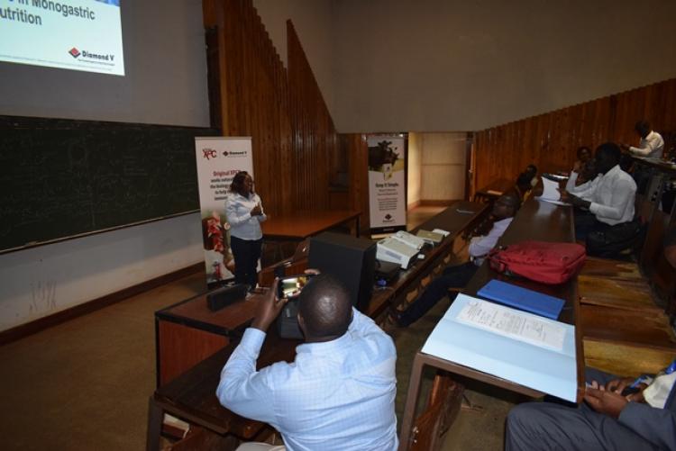 Guest Lecture by Diamond V-IMEA Representatives