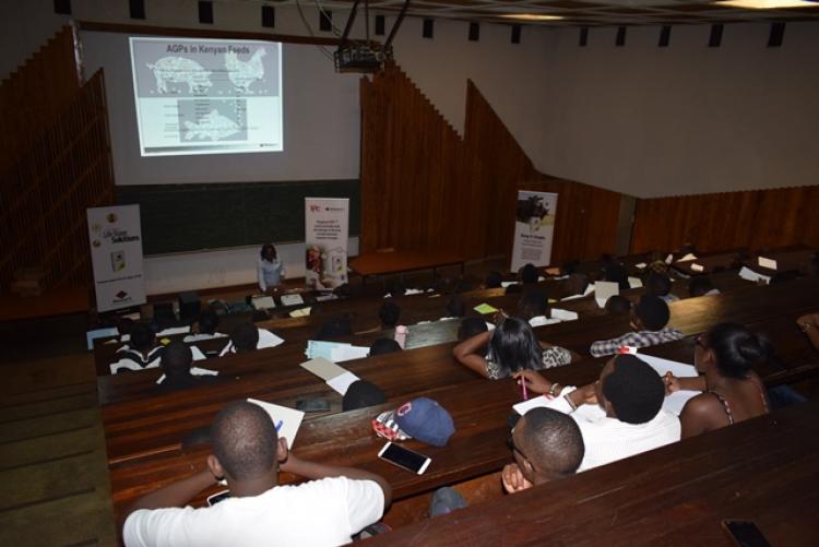 Guest Lecture by Diamond V-IMEA Representatives