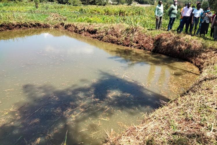 AHA PROJECT Inception Meeting and Research Field Visit in Nyeri