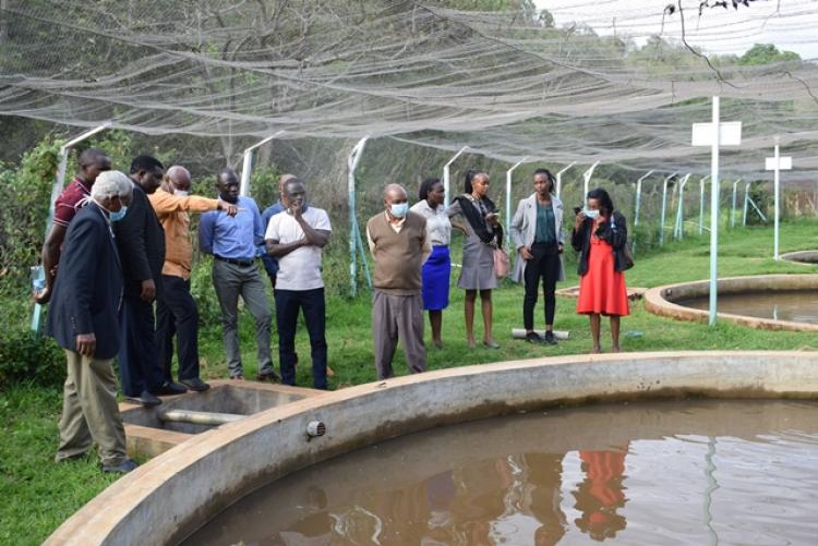 AHA PROJECT Inception Meeting and Research Field Visit in Nyeri