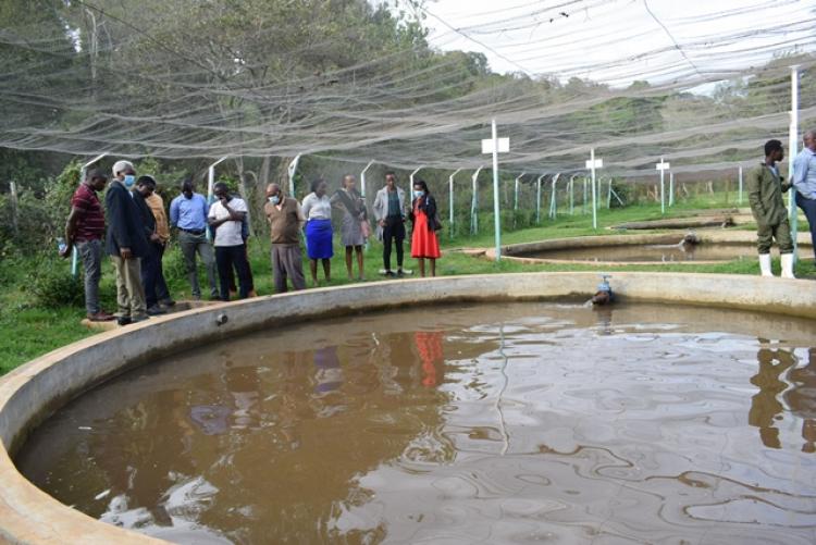 AHA PROJECT Inception Meeting and Research Field Visit in Nyeri