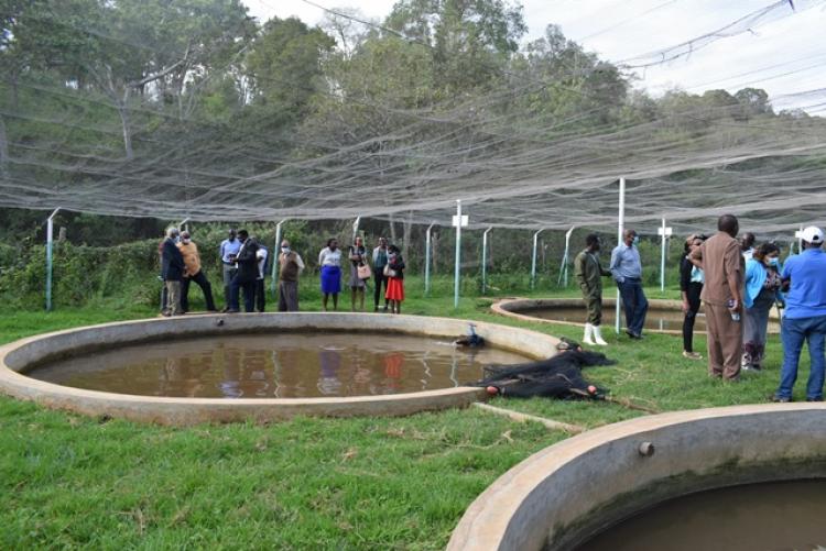 AHA PROJECT Inception Meeting and Research Field Visit in Nyeri