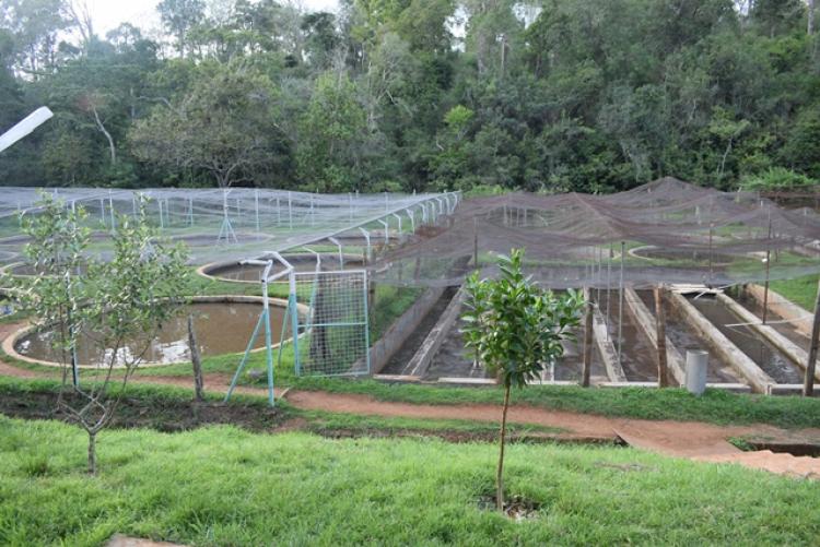 AHA PROJECT Inception Meeting and Research Field Visit in Nyeri