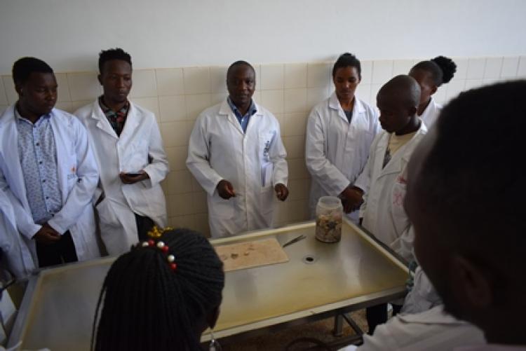 Nyeri TTI Students Academic Trip to Histopathology Lab 