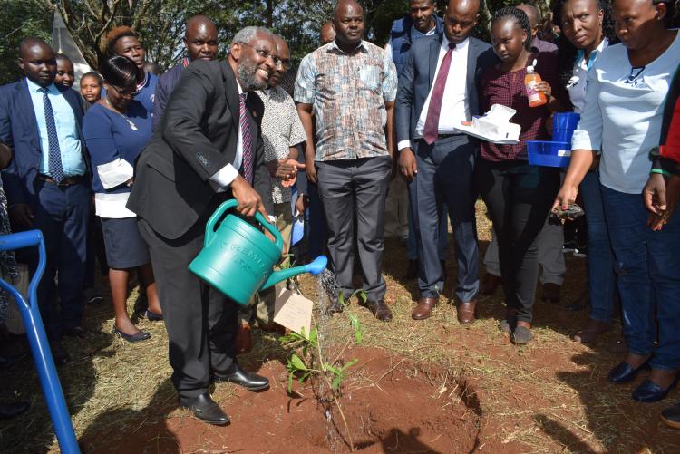 Tree Planting 2022
