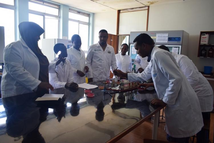 FCD Counties Vet Labs Staff Training in Veterinary Lab Practicals