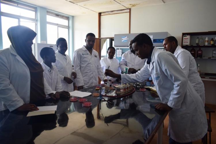 FCD Counties Vet Labs Staff Training in Veterinary Lab Practicals