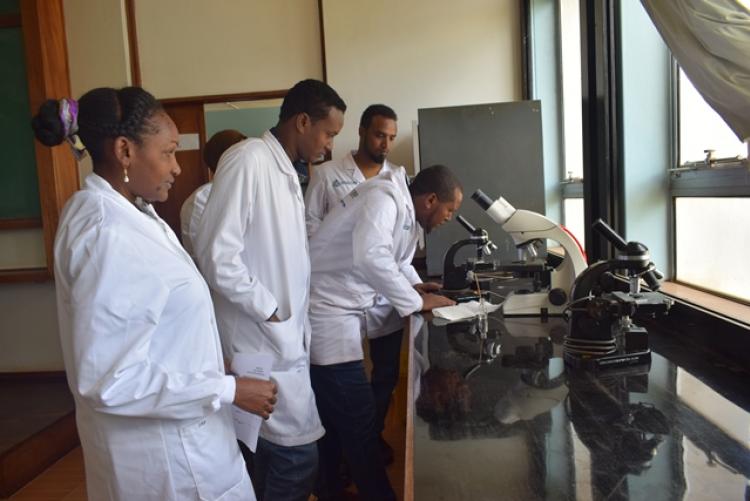 FCD Counties Vet Labs Staff Training in Veterinary Lab Practicals