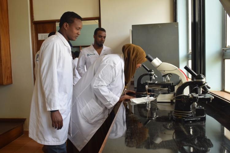 FCD Counties Vet Labs Staff Training in Veterinary Lab Practicals