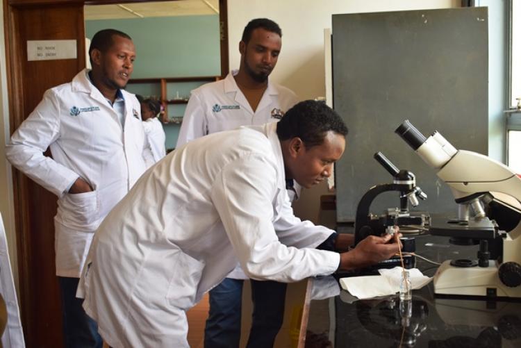 FCD Counties Vet Labs Staff Training in Veterinary Lab Practicals