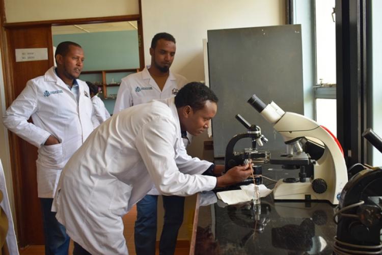 FCD Counties Vet Labs Staff Training in Veterinary Lab Practicals