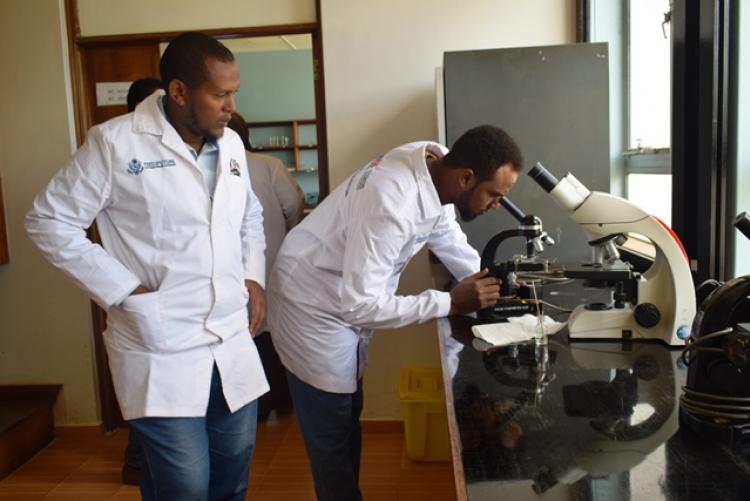 FCD Counties Vet Labs Staff Training in Veterinary Lab Practicals