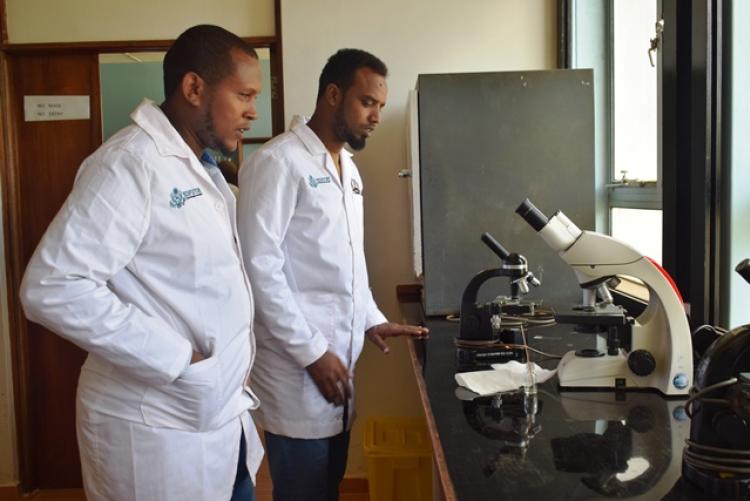 FCD Counties Vet Labs Staff Training in Veterinary Lab Practicals