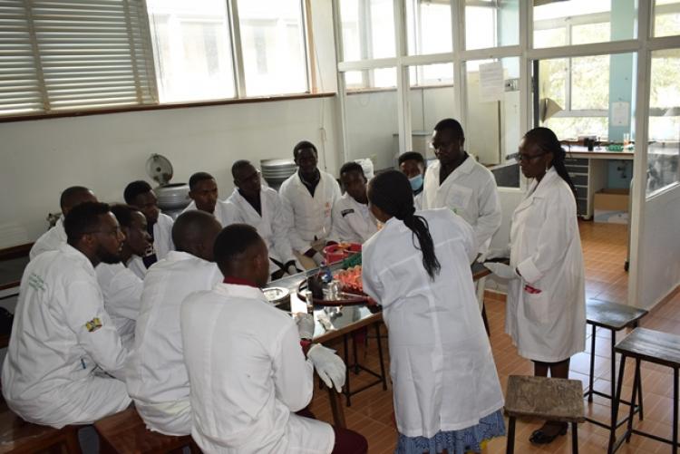 Practical Education Trip by Meru University Students192