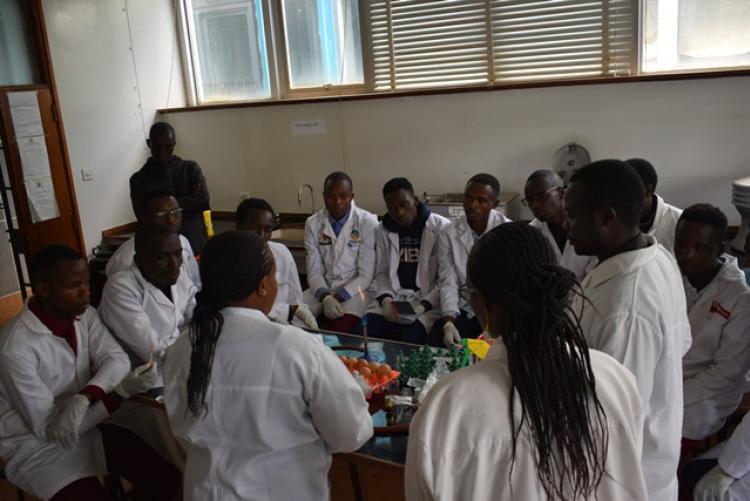 Practical Education Trip by Meru University Students192