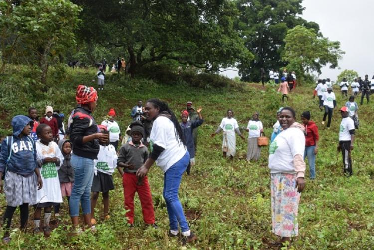 National Tree Planting Day at Kanyariri Farm, Upper Kabete Campus