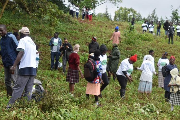 National Tree Planting Day at Kanyariri Farm, Upper Kabete Campus