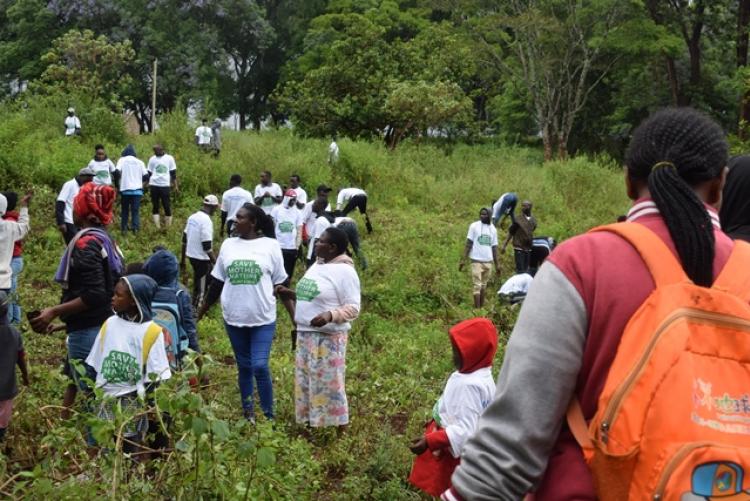 National Tree Planting Day at Kanyariri Farm, Upper Kabete Campus