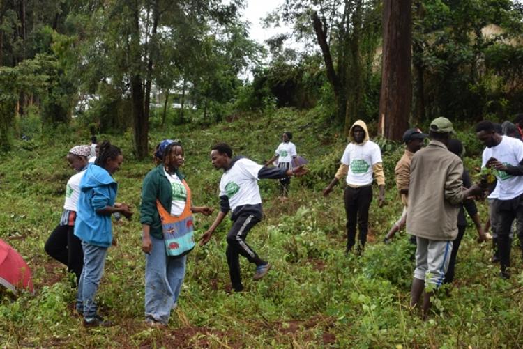 National Tree Planting Day at Kanyariri Farm, Upper Kabete Campus