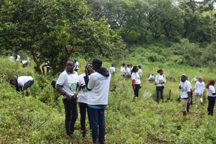 National Tree Planting Day at Kanyariri Farm, Upper Kabete Campus