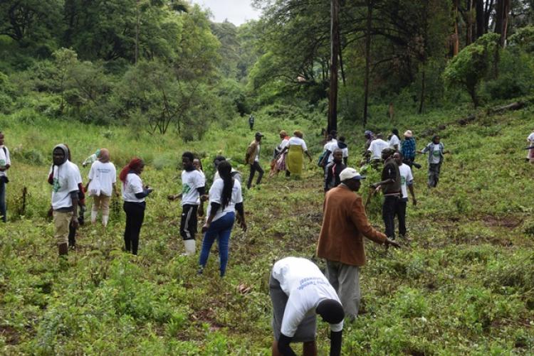 National Tree Planting Day at Kanyariri Farm, Upper Kabete Campus