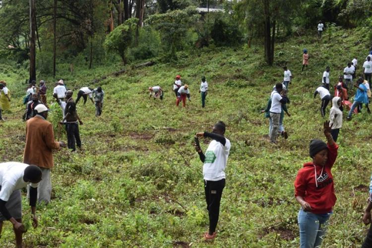 National Tree Planting Day at Kanyariri Farm, Upper Kabete Campus