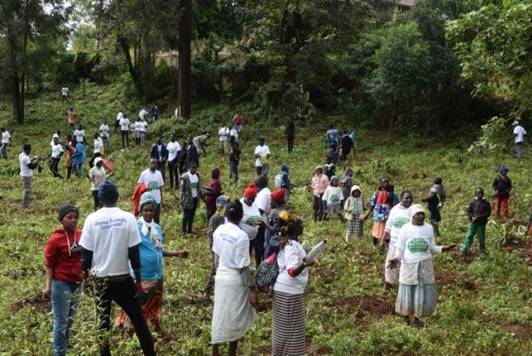 National Tree Planting Day at Kanyariri Farm, Upper Kabete Campus