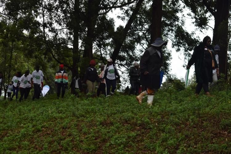 National Tree Planting Day at Kanyariri Farm, Upper Kabete Campus