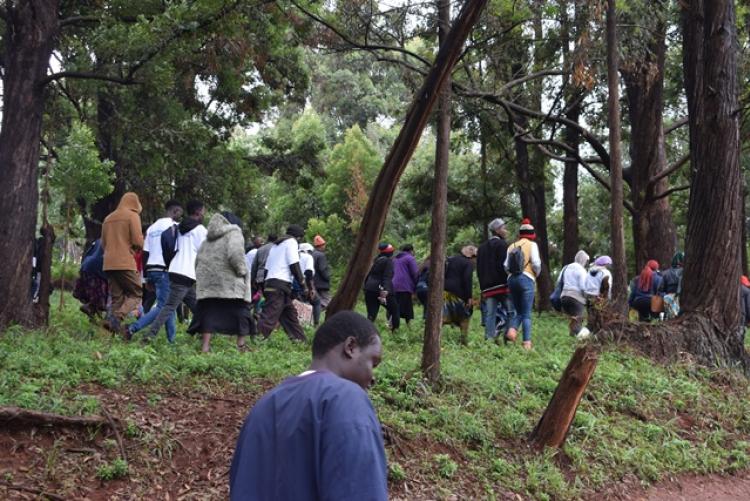 National Tree Planting Day at Kanyariri Farm, Upper Kabete Campus