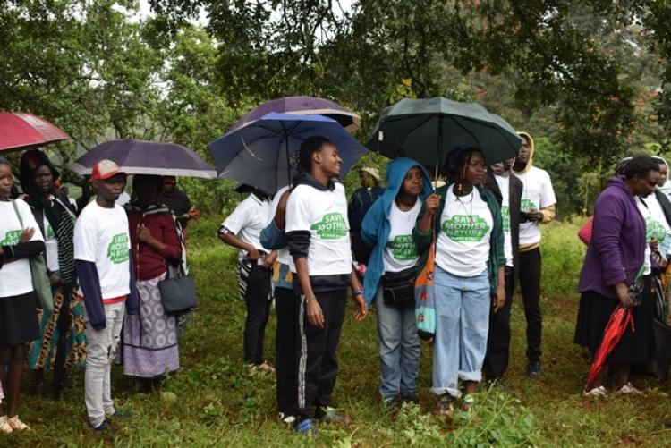 National Tree Planting Day at Kanyariri Farm, Upper Kabete Campus