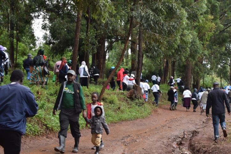 National Tree Planting Day at Kanyariri Farm, Upper Kabete Campus