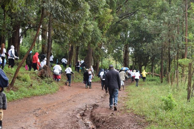 National Tree Planting Day at Kanyariri Farm, Upper Kabete Campus