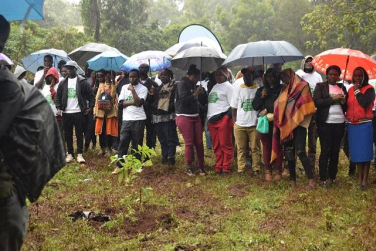 National Tree Planting Day at Kanyariri Farm, Upper Kabete Campus