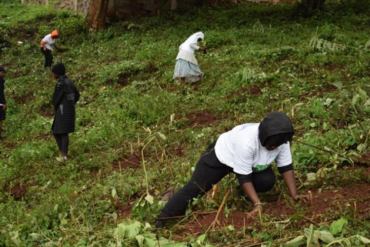 National Tree Planting Day at Kanyariri Farm, Upper Kabete Campus