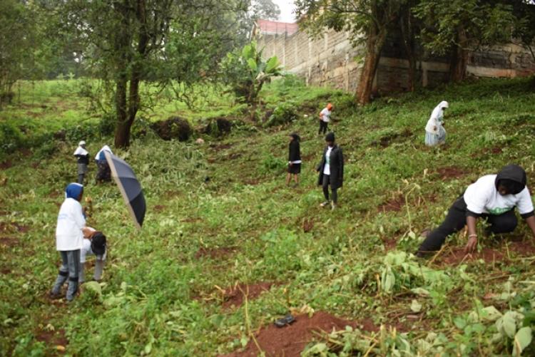 National Tree Planting Day at Kanyariri Farm, Upper Kabete Campus