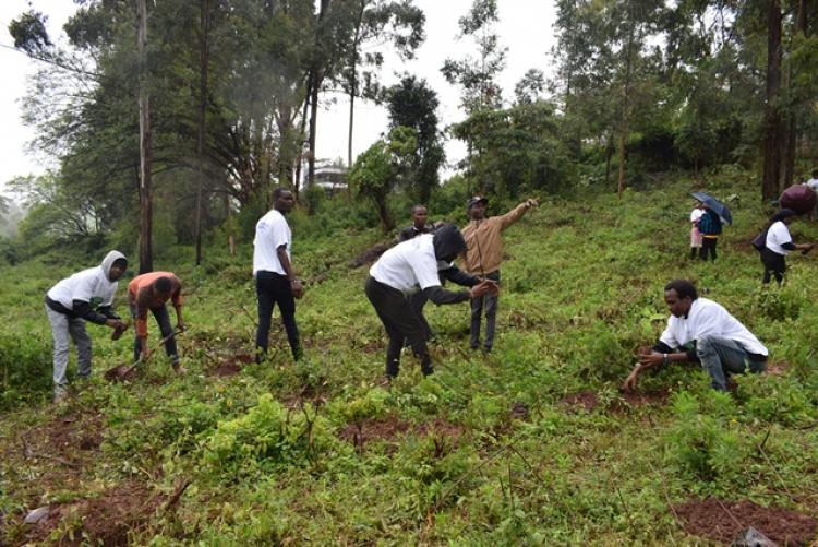 National Tree Planting Day at Kanyariri Farm, Upper Kabete Campus