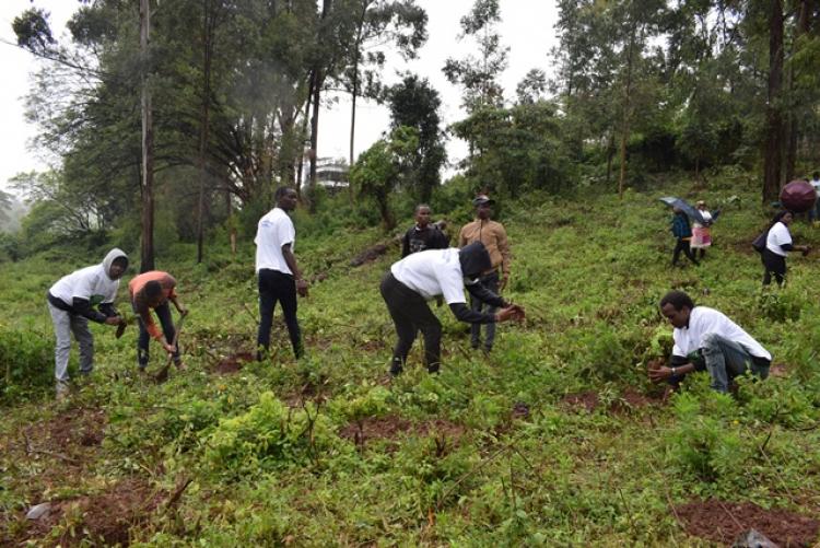 National Tree Planting Day at Kanyariri Farm, Upper Kabete Campus