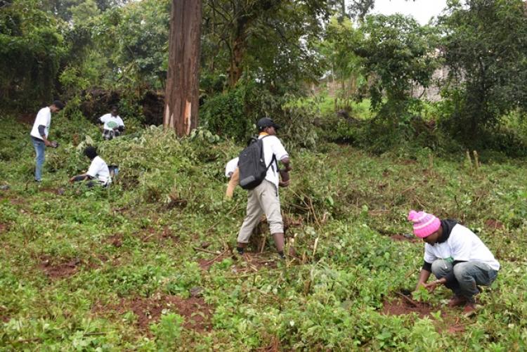 National Tree Planting Day at Kanyariri Farm, Upper Kabete Campus