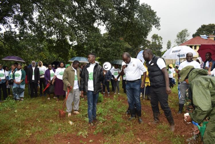 National Tree Planting Day at Kanyariri Farm, Upper Kabete Campus