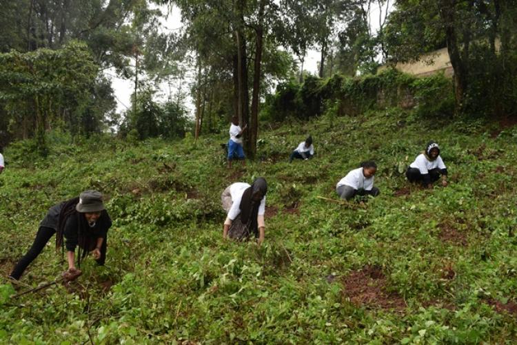 National Tree Planting Day at Kanyariri Farm, Upper Kabete Campus